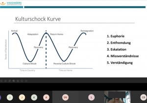 Kulurschockkurve