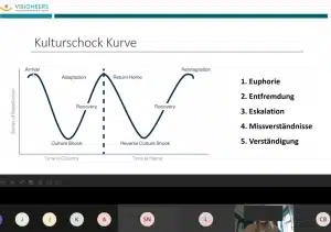 Kulurschockkurve