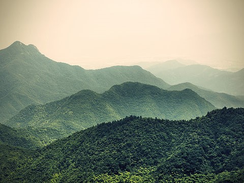 test alt text
